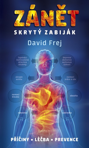 Zánět
