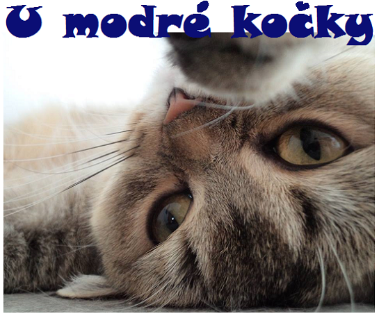 U modré kočky, foto Renata Petříčková