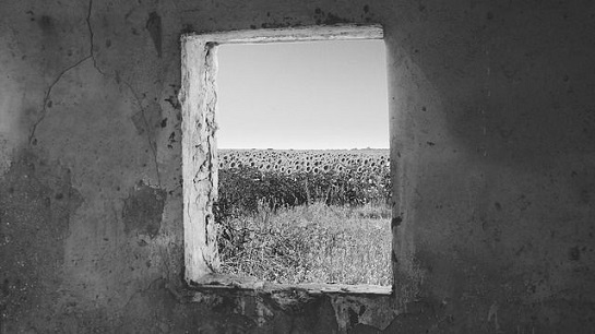 cernobila-ukrajina-free-image-pixabay