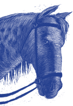Lancelot, ilustrace Renáta Fučíková