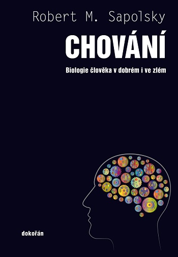 Černá kočička dokořán otevřené obrázky
