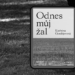 Odnes můj žal